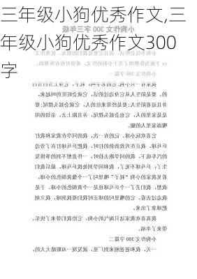 三年级小狗优秀作文,三年级小狗优秀作文300字