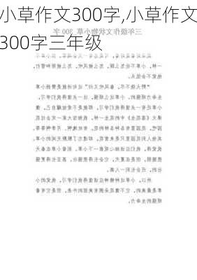 小草作文300字,小草作文300字三年级