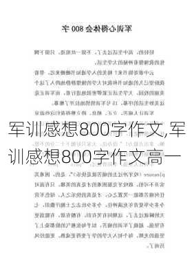 军训感想800字作文,军训感想800字作文高一