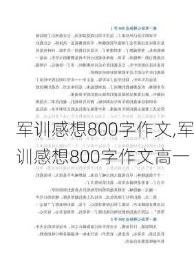 军训感想800字作文,军训感想800字作文高一