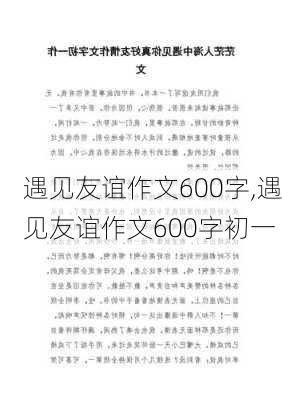 遇见友谊作文600字,遇见友谊作文600字初一