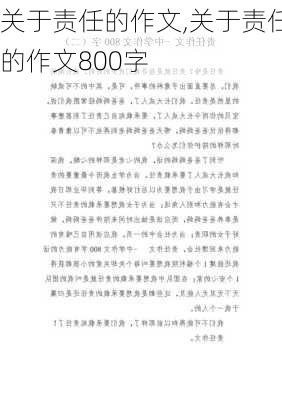 关于责任的作文,关于责任的作文800字