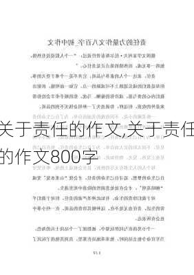 关于责任的作文,关于责任的作文800字