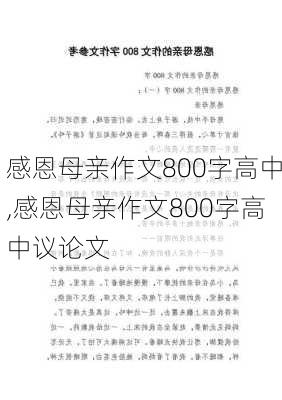 感恩母亲作文800字高中,感恩母亲作文800字高中议论文