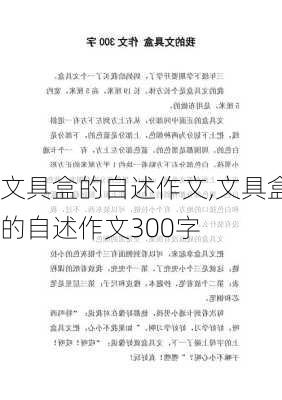 文具盒的自述作文,文具盒的自述作文300字