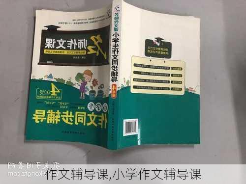 作文辅导课,小学作文辅导课