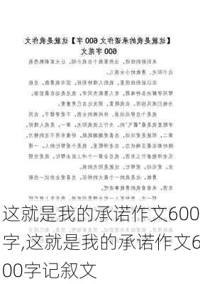 这就是我的承诺作文600字,这就是我的承诺作文600字记叙文