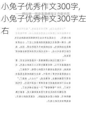 小兔子优秀作文300字,小兔子优秀作文300字左右