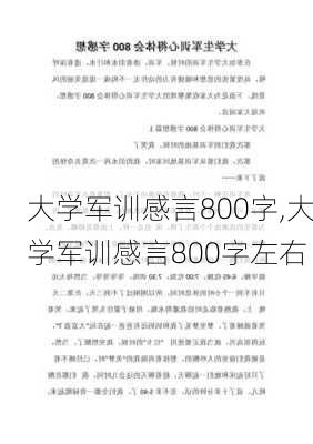 大学军训感言800字,大学军训感言800字左右