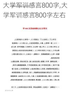 大学军训感言800字,大学军训感言800字左右