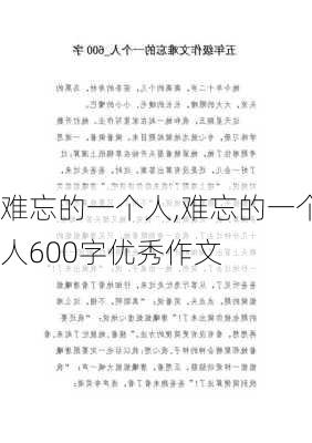 难忘的一个人,难忘的一个人600字优秀作文