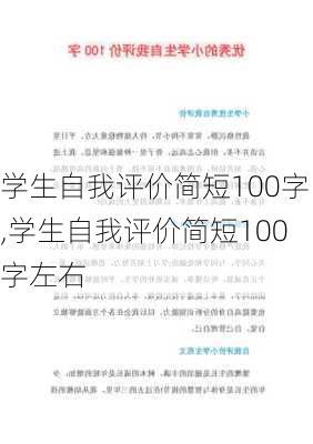 学生自我评价简短100字,学生自我评价简短100字左右