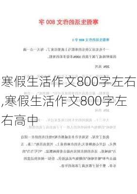 寒假生活作文800字左右,寒假生活作文800字左右高中