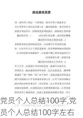 党员个人总结100字,党员个人总结100字左右