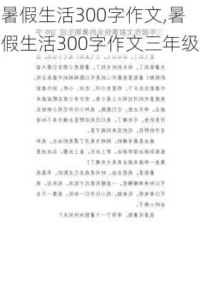 暑假生活300字作文,暑假生活300字作文三年级