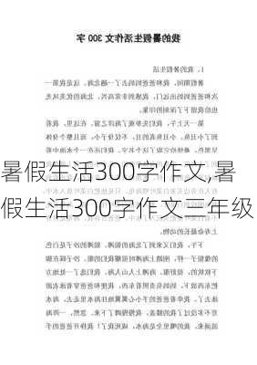 暑假生活300字作文,暑假生活300字作文三年级