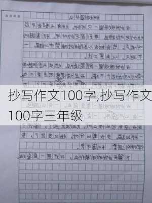 抄写作文100字,抄写作文100字三年级