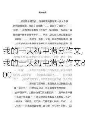 我的一天初中满分作文,我的一天初中满分作文800