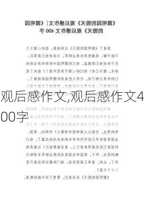 观后感作文,观后感作文400字