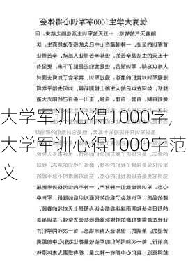 大学军训心得1000字,大学军训心得1000字范文