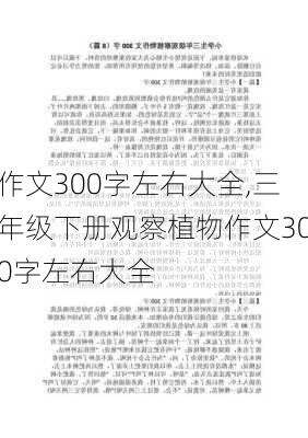 作文300字左右大全,三年级下册观察植物作文300字左右大全