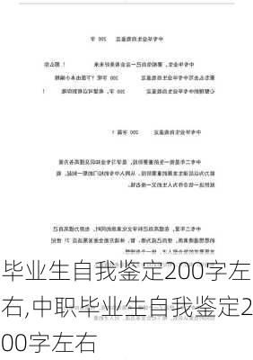 毕业生自我鉴定200字左右,中职毕业生自我鉴定200字左右