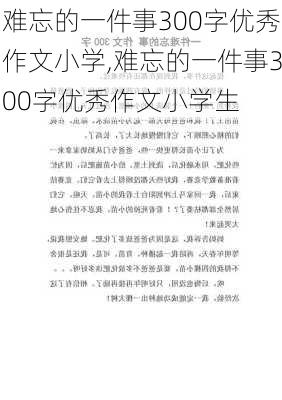 难忘的一件事300字优秀作文小学,难忘的一件事300字优秀作文小学生