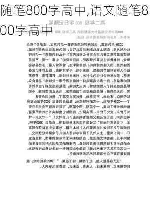 随笔800字高中,语文随笔800字高中