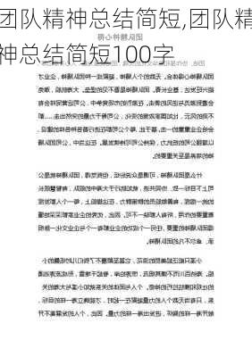 团队精神总结简短,团队精神总结简短100字