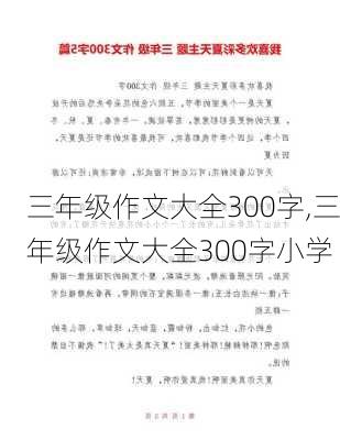 三年级作文大全300字,三年级作文大全300字小学