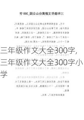 三年级作文大全300字,三年级作文大全300字小学