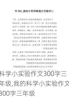 科学小实验作文300字三年级,我的科学小实验作文300字三年级