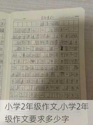 小学2年级作文,小学2年级作文要求多少字