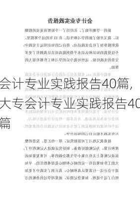 会计专业实践报告40篇,大专会计专业实践报告40篇