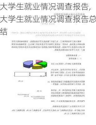 大学生就业情况调查报告,大学生就业情况调查报告总结