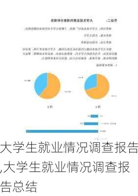 大学生就业情况调查报告,大学生就业情况调查报告总结