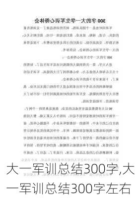 大一军训总结300字,大一军训总结300字左右