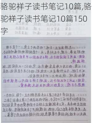 骆驼祥子读书笔记10篇,骆驼祥子读书笔记10篇150字