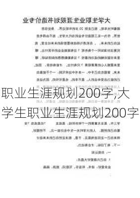 职业生涯规划200字,大学生职业生涯规划200字