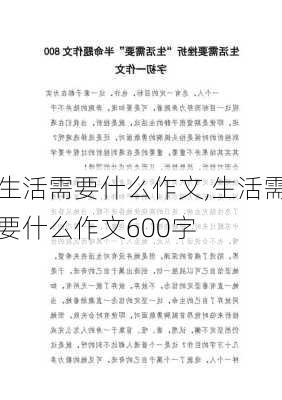 生活需要什么作文,生活需要什么作文600字