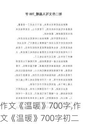 作文《温暖》700字,作文《温暖》700字初二