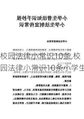 校园法律小常识10条,校园法律小常识10条小学生