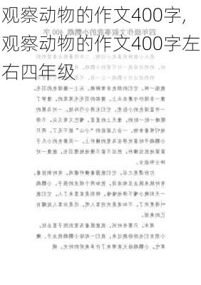 观察动物的作文400字,观察动物的作文400字左右四年级