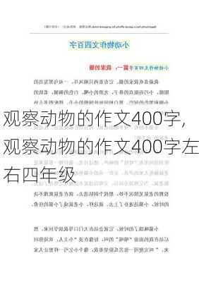 观察动物的作文400字,观察动物的作文400字左右四年级