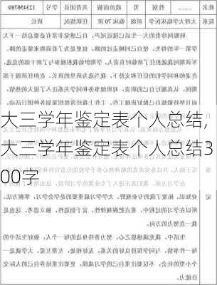 大三学年鉴定表个人总结,大三学年鉴定表个人总结300字