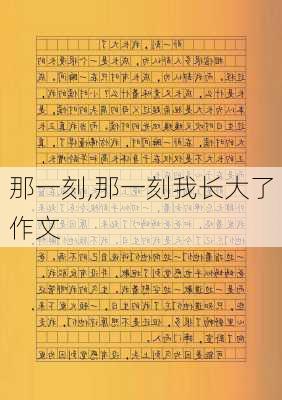 那一刻,那一刻我长大了作文