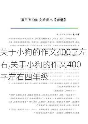 关于小狗的作文400字左右,关于小狗的作文400字左右四年级