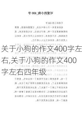 关于小狗的作文400字左右,关于小狗的作文400字左右四年级