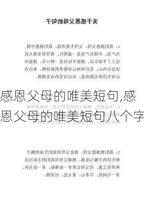 感恩父母的唯美短句,感恩父母的唯美短句八个字