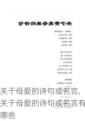 关于母爱的诗句或名言,关于母爱的诗句或名言有哪些